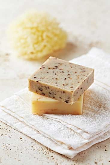 Tea leaves can be substituted for herbs in any soap recipe that calls for a little more scent and exfoliant.